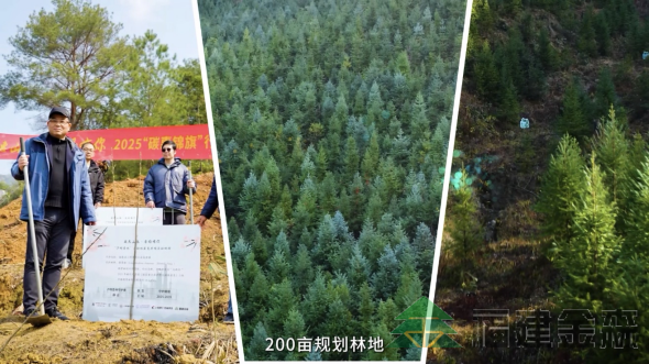 全國首個!!!“滬明杏林”醫療碳匯林項目成功啟動 福建金森攜手多方共推醫療與生態融合發展新范式 全國首個!!!“滬明杏林”醫療碳匯林項目成功啟動 福建金森攜手多方共推醫療與生態融合發展新范式